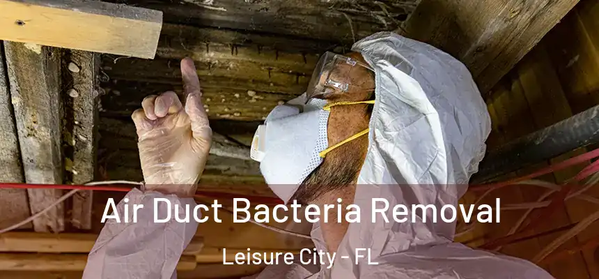 Air Duct Bacteria Removal Leisure City - FL