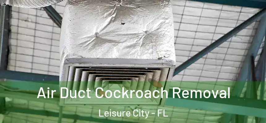 Air Duct Cockroach Removal Leisure City - FL