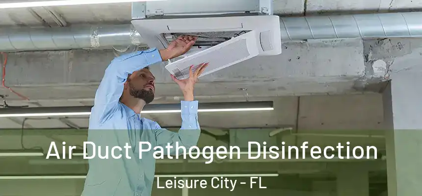 Air Duct Pathogen Disinfection Leisure City - FL