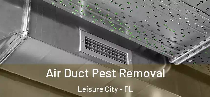  Air Duct Pest Removal Leisure City - FL