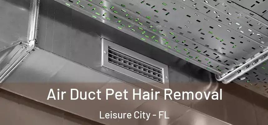 Air Duct Pet Hair Removal Leisure City - FL