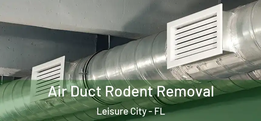  Air Duct Rodent Removal Leisure City - FL