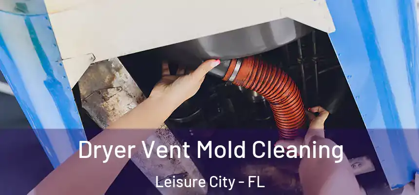 Dryer Vent Mold Cleaning Leisure City - FL