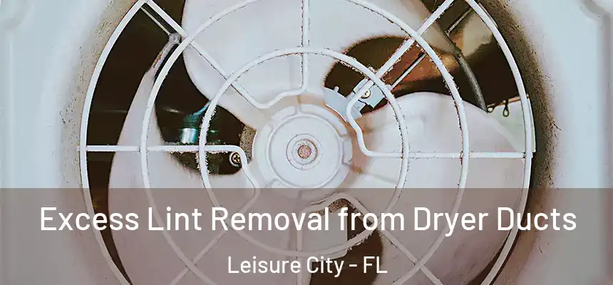 Excess Lint Removal from Dryer Ducts Leisure City - FL