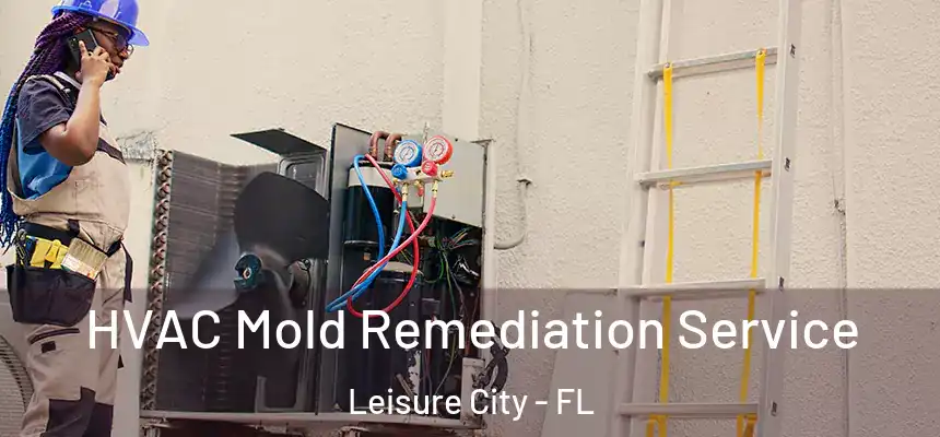 HVAC Mold Remediation Service Leisure City - FL
