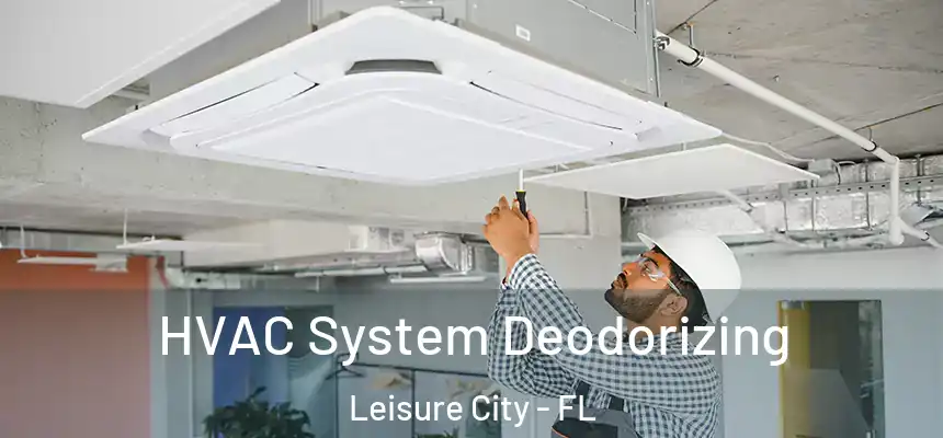 HVAC System Deodorizing Leisure City - FL
