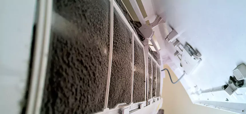 Preventive Air Duct Bacteria Removal in Leisure City