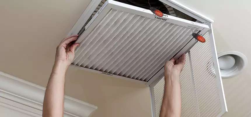 Preventive Cockroach-Proofing for Ducts in Leisure City