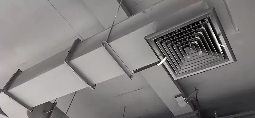 Restorative Allergy Relief Vent Cleaning – Coil, Blower & Housing Detail in Leisure City