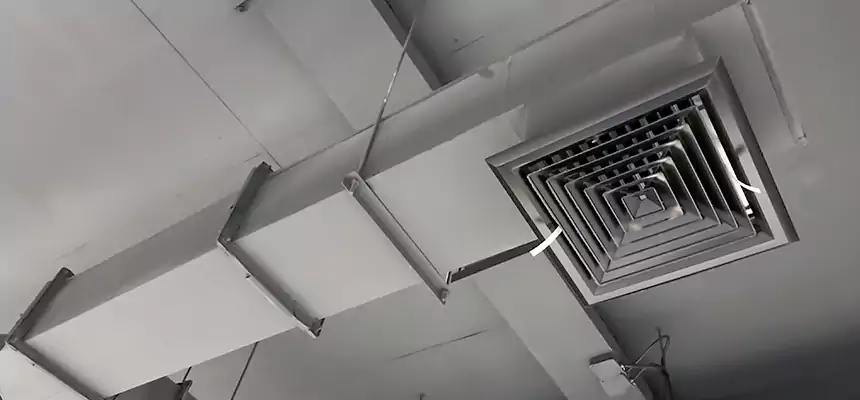 Our Rodent Droppings In Vents Services in Leisure City, FL