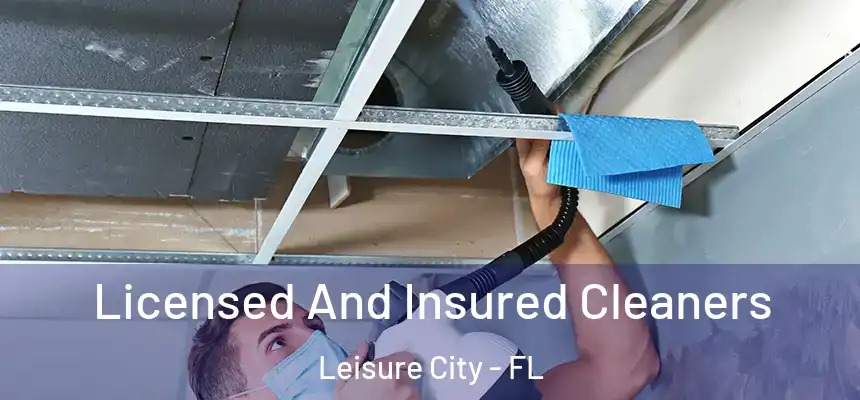 Licensed And Insured Cleaners Leisure City - FL