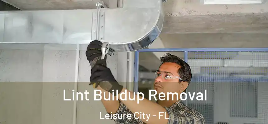 Lint Buildup Removal Leisure City - FL