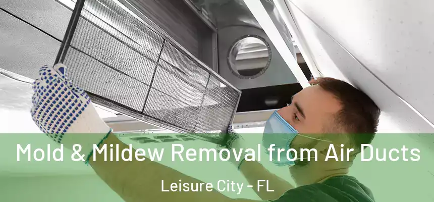 Mold & Mildew Removal from Air Ducts Leisure City - FL