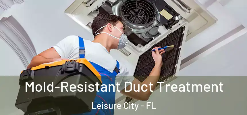  Mold-Resistant Duct Treatment Leisure City - FL