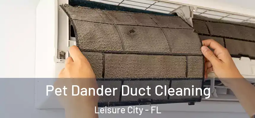 Pet Dander Duct Cleaning Leisure City - FL