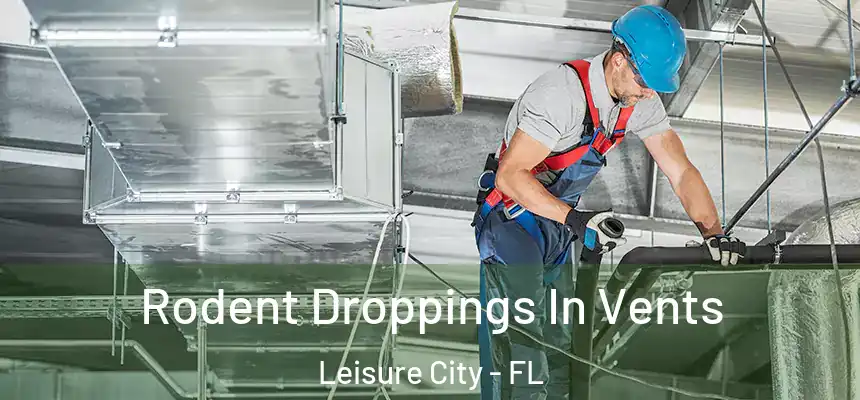 Rodent Droppings In Vents Leisure City - FL