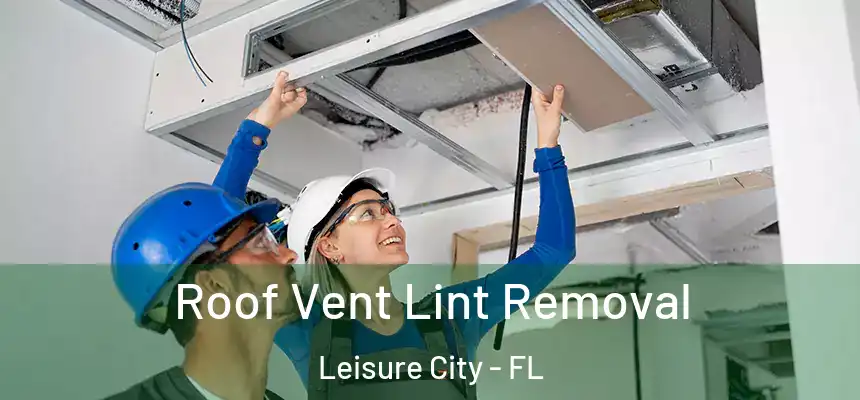 Roof Vent Lint Removal Leisure City - FL