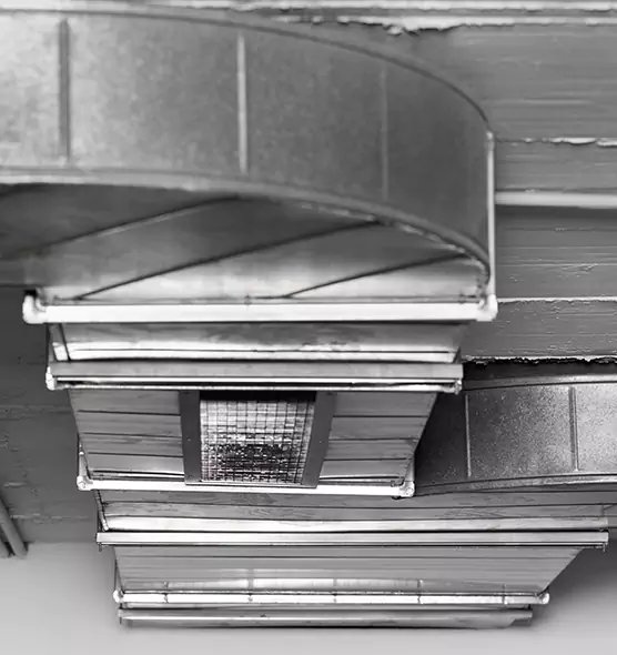 Professional Air Duct Pest Removal in Leisure City, FL