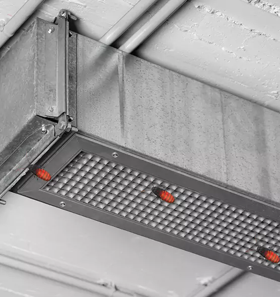 Affordable Insect Removal from Air Ducts in Leisure City, FL