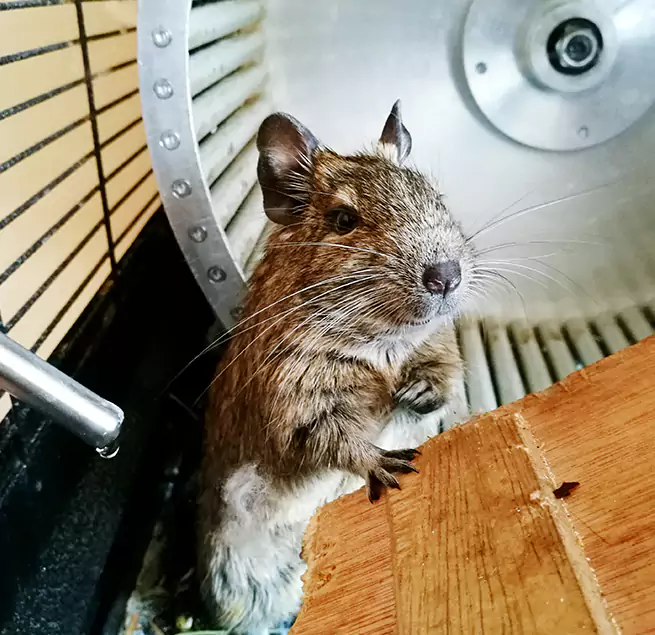 Why Homeowners & Businesses Trust Us Leisure City, FL