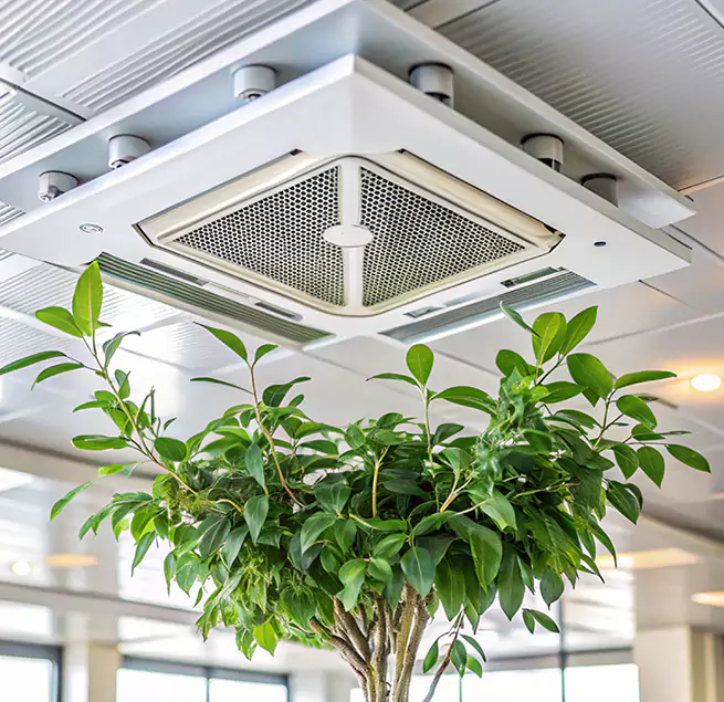 Why Homeowners & Businesses Trust Us in Leisure City, FL?