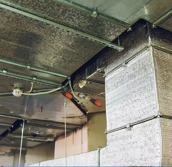 Why Homeowners & Businesses Trust Us Leisure City, FL?