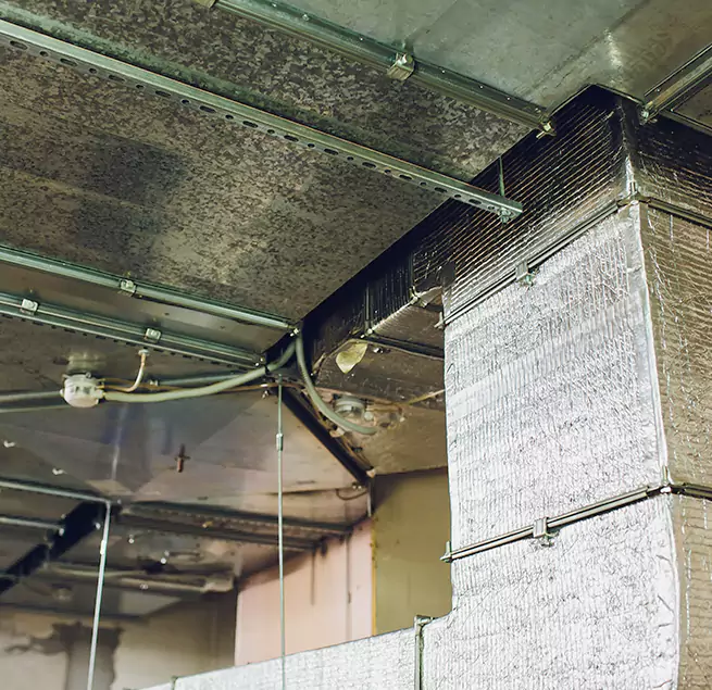 Why Homeowners & Businesses Trust Us in Leisure City, FL?